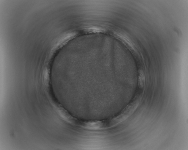 X0000113880410200910151317