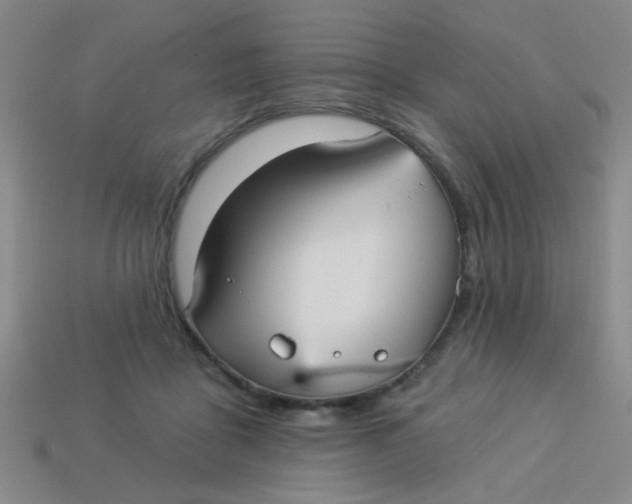 X0000113880411200910151317