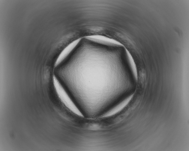 X0000113880412200910151317