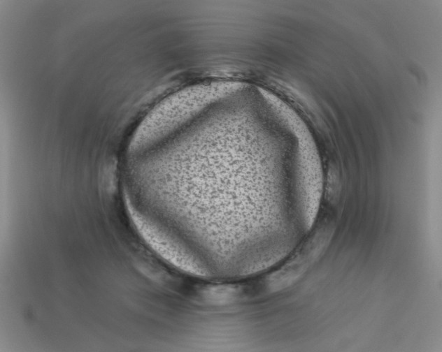 X0000113880413200910151317