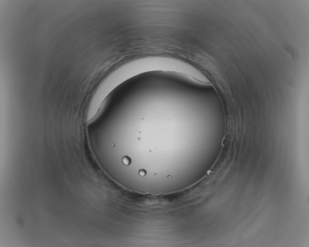 X0000113880415200910151317