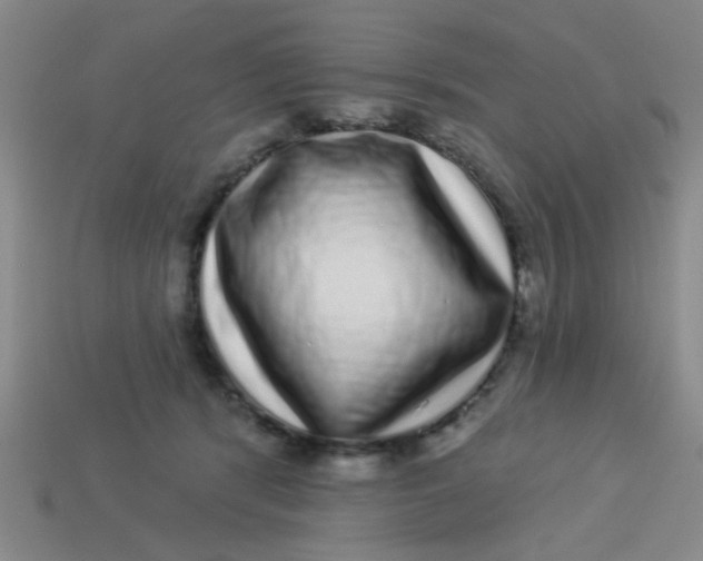 X0000113880416200910151317