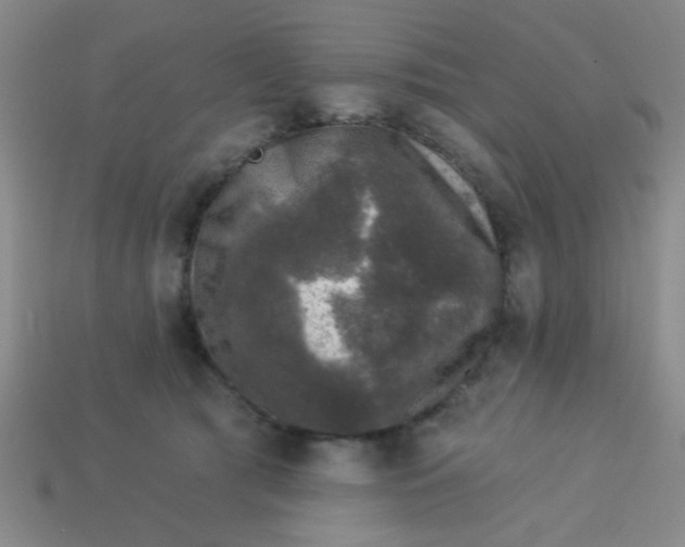 X0000113880417200910151317