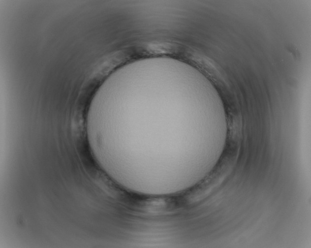 X0000113880418200910151317