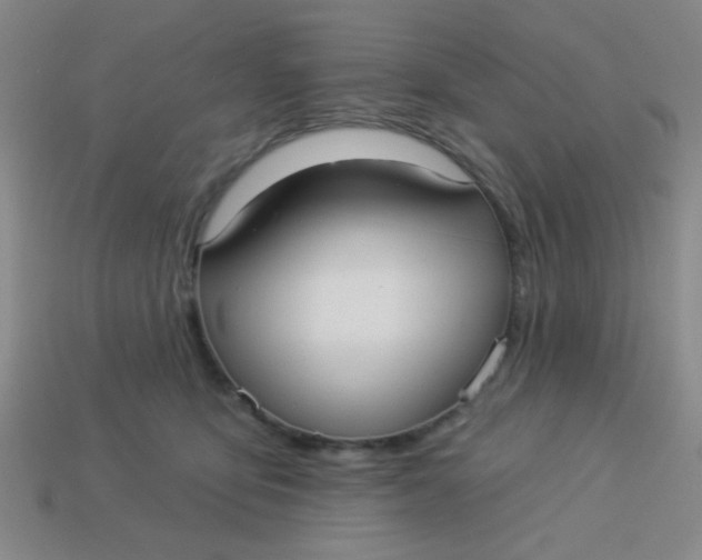 X0000113880419200910151317