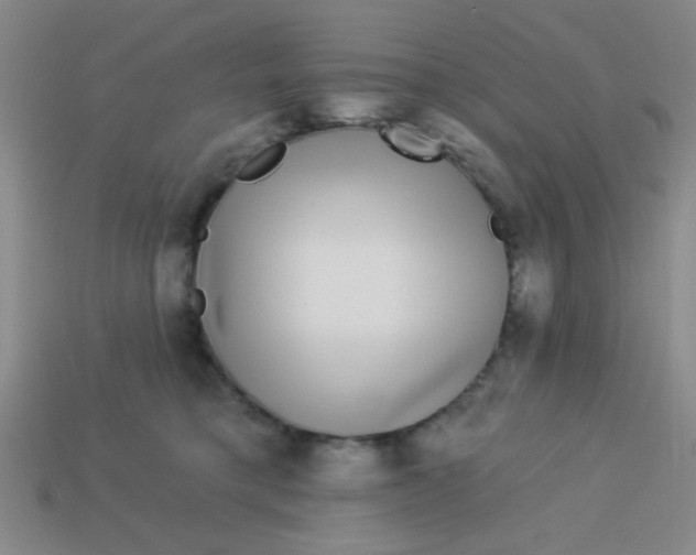 X0000113880421200910151317