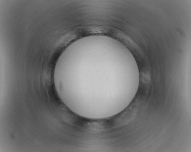 X0000113880422200910151317