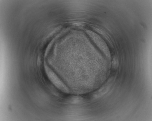 X0000113880424200910151317