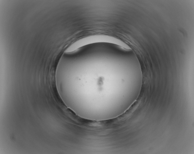 X0000113880425200910151317