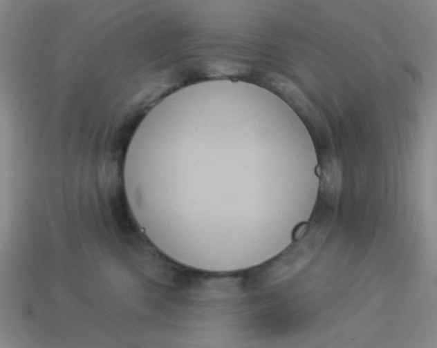 X0000113880426200910151317