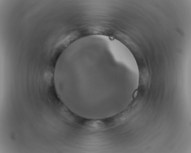 X0000113880427200910151317