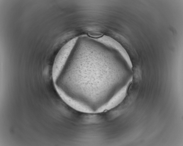 X0000113880428200910151317