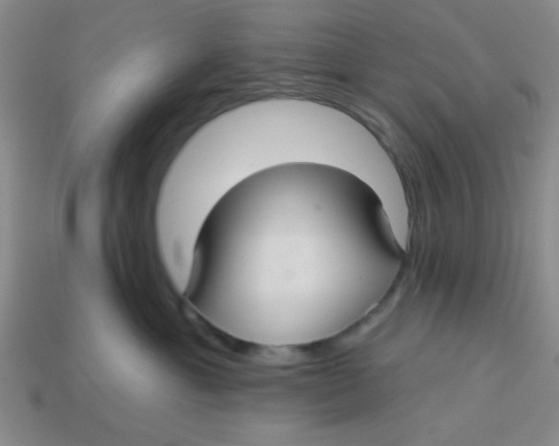 X0000113880429200910151317