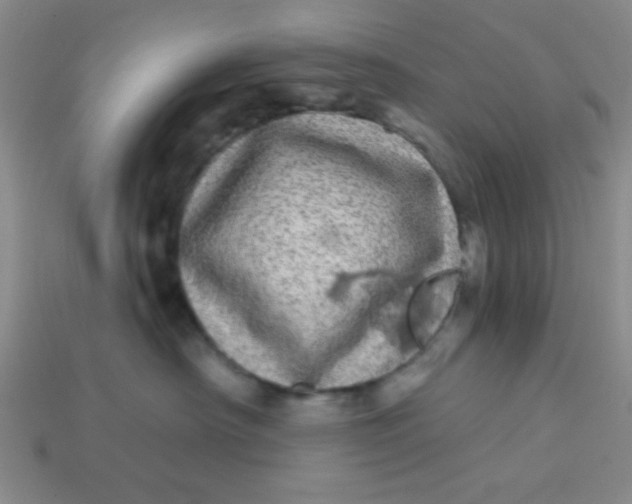 X0000113880430200910151317