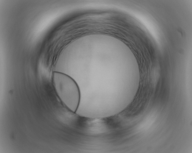 X0000113880431200910151317