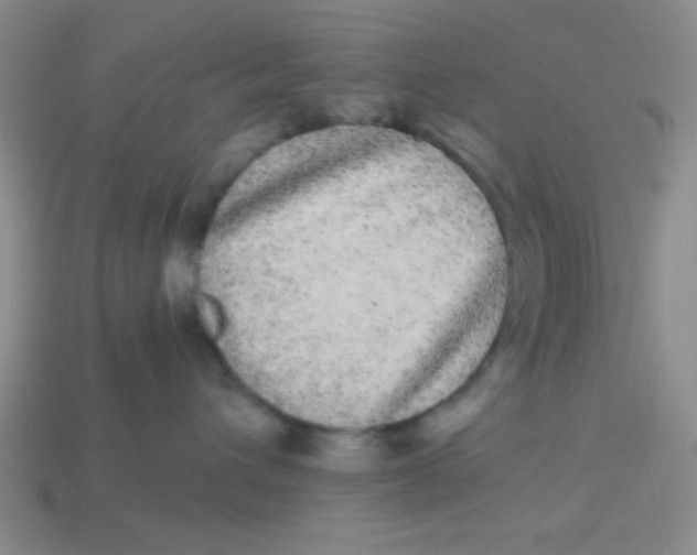 X0000113880432200910151317