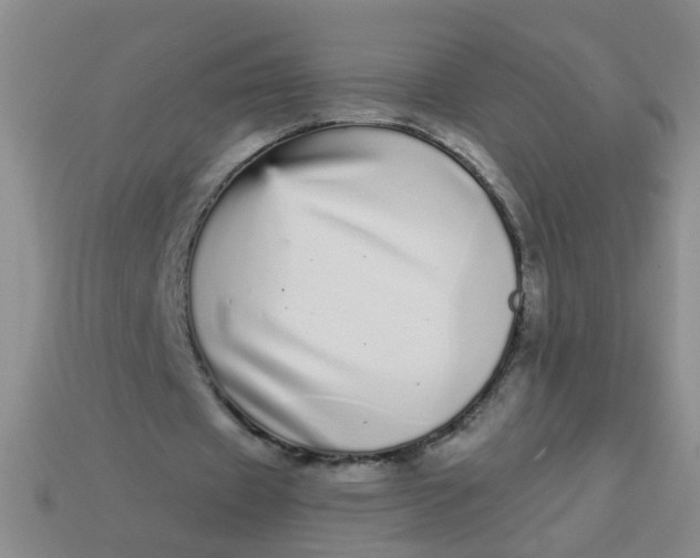 X0000113880433200910151316