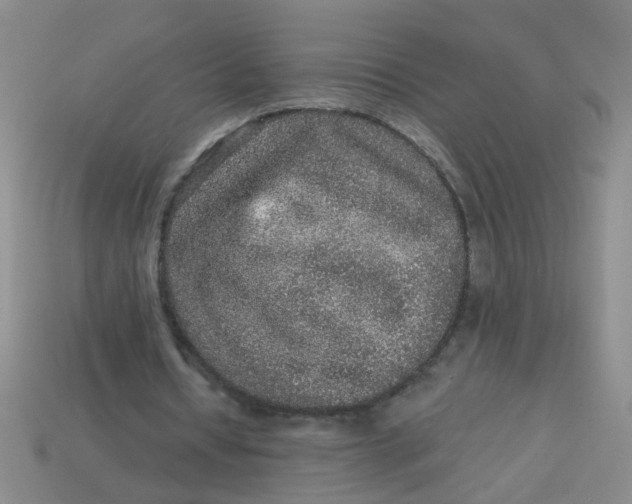 X0000113880434200910151316