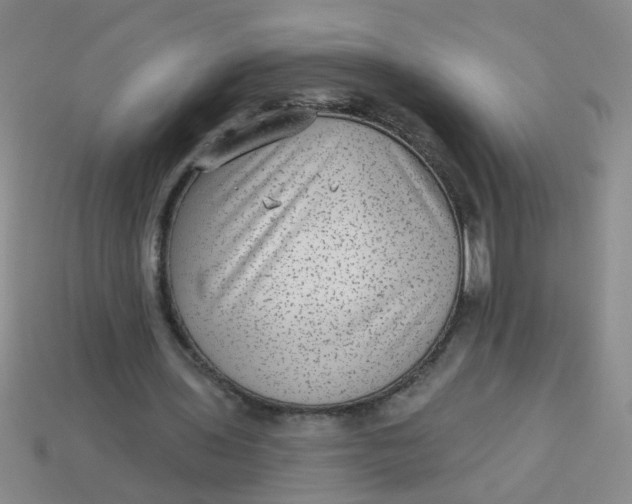 X0000113880435200910151317