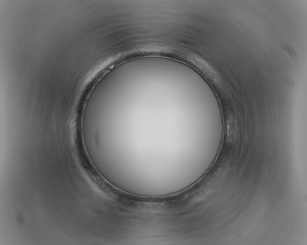 X0000113880436200910151317