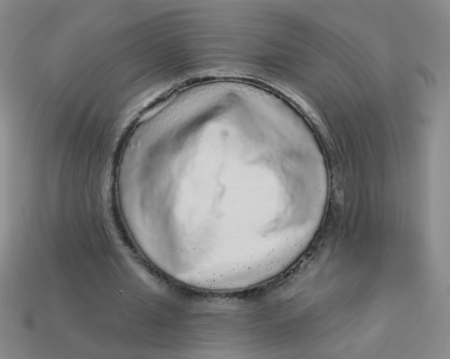 X0000113880437200910151317