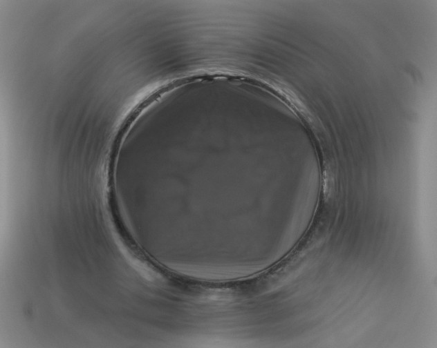 X0000113880438200910151317