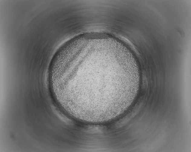 X0000113880439200910151317