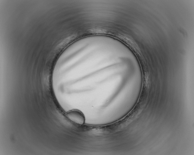 X0000113880441200910151317