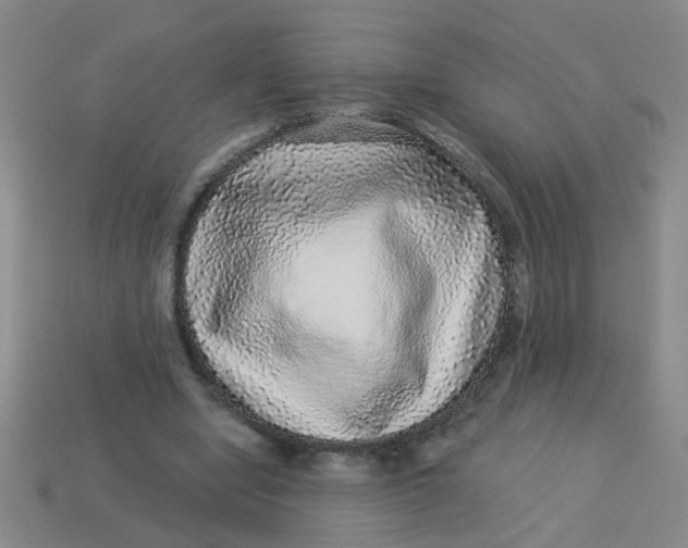 X0000113880442200910151317