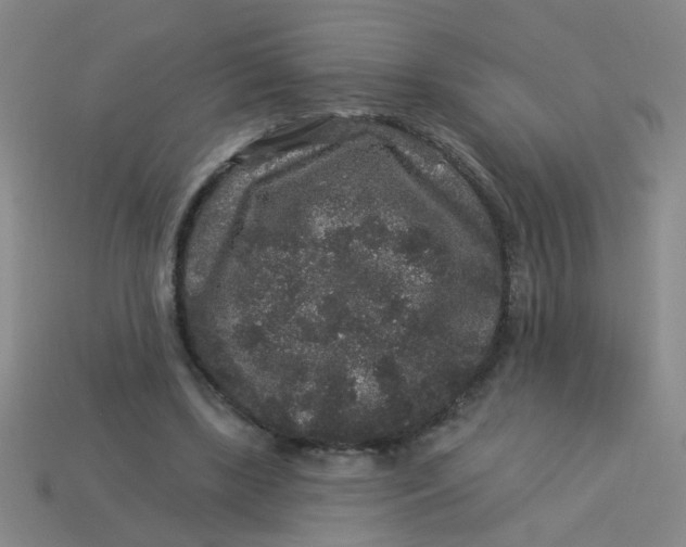 X0000113880443200910151317