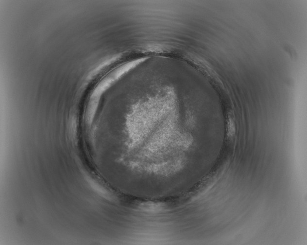 X0000113880444200910151317