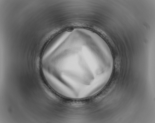 X0000113880445200910151317