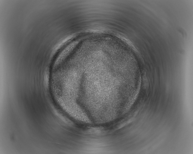 X0000113880446200910151317