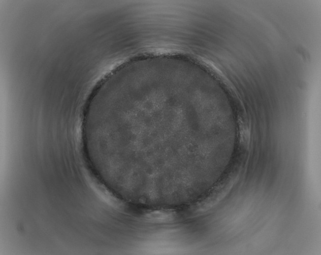 X0000113880447200910151317