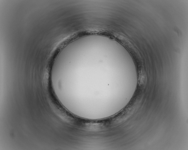 X0000113880448200910151317