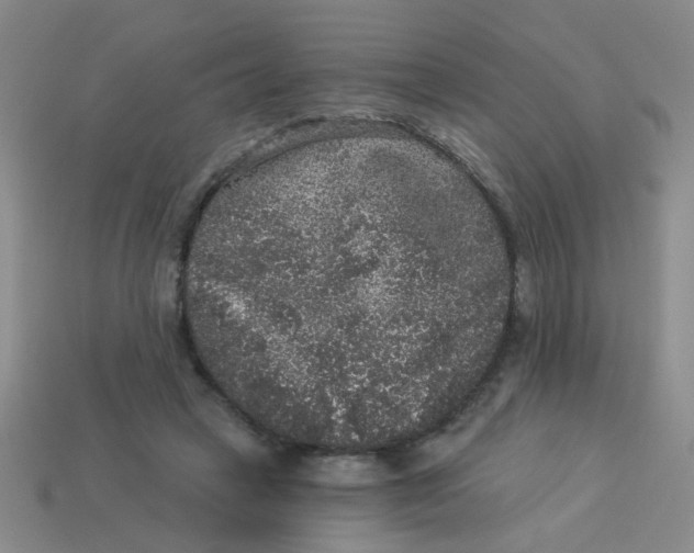 X0000113880449200910151317