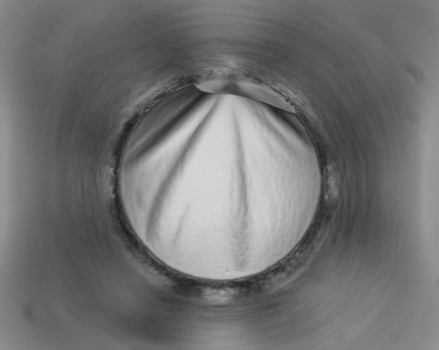 X0000113880450200910151317