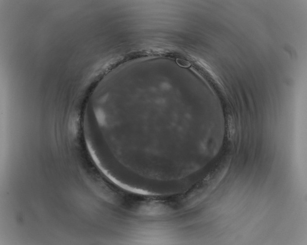 X0000113880451200910151317