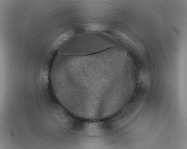 X0000113880452200910151317