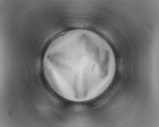 X0000113880453200910151317