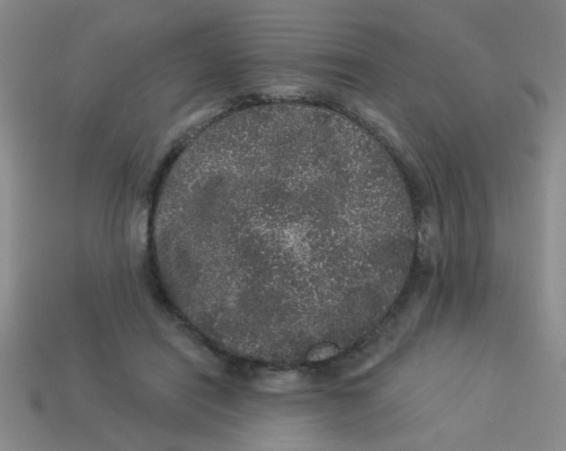 X0000113880454200910151317