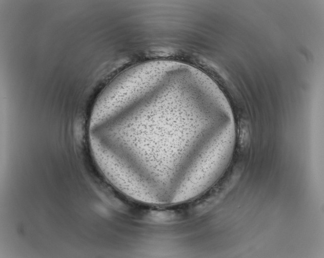 X0000113880455200910151317