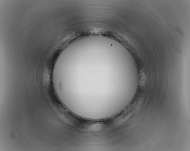 X0000113880456200910151317