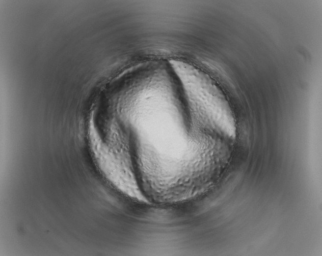 X0000113880457200910151317