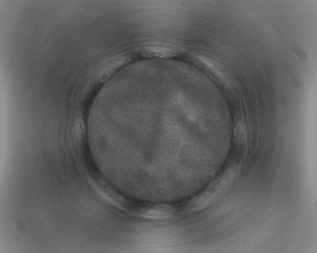 X0000113880459200910151317