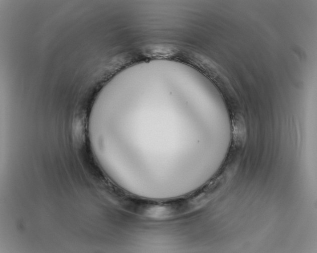 X0000113880460200910151317