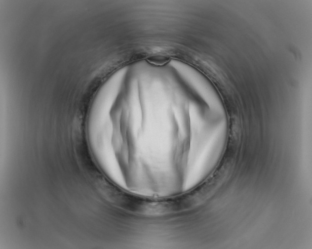 X0000113880461200910151317