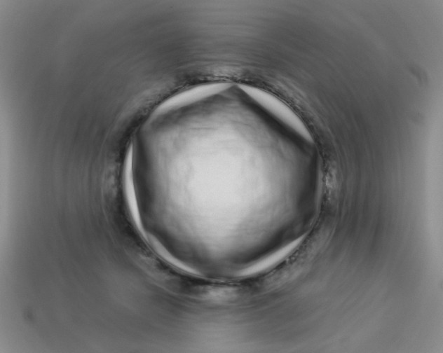 X0000113880462200910151317