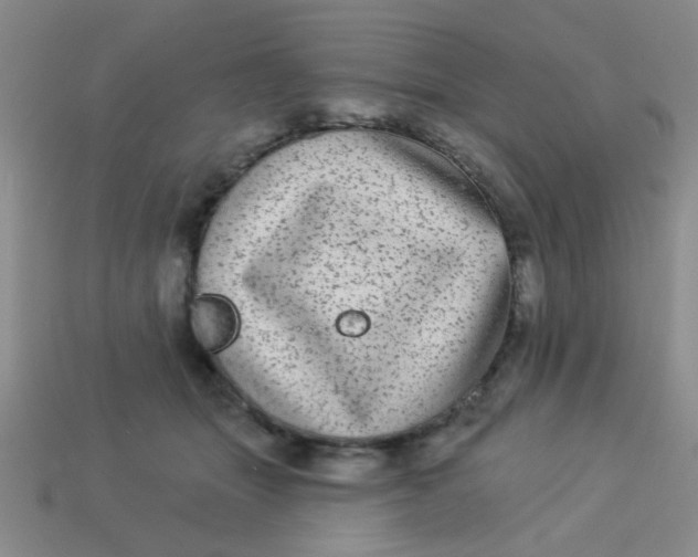 X0000113880463200910151317