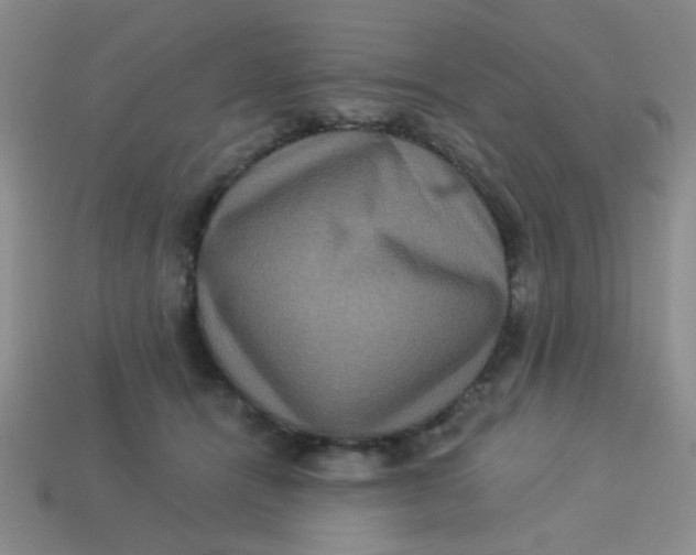 X0000113880464200910151317